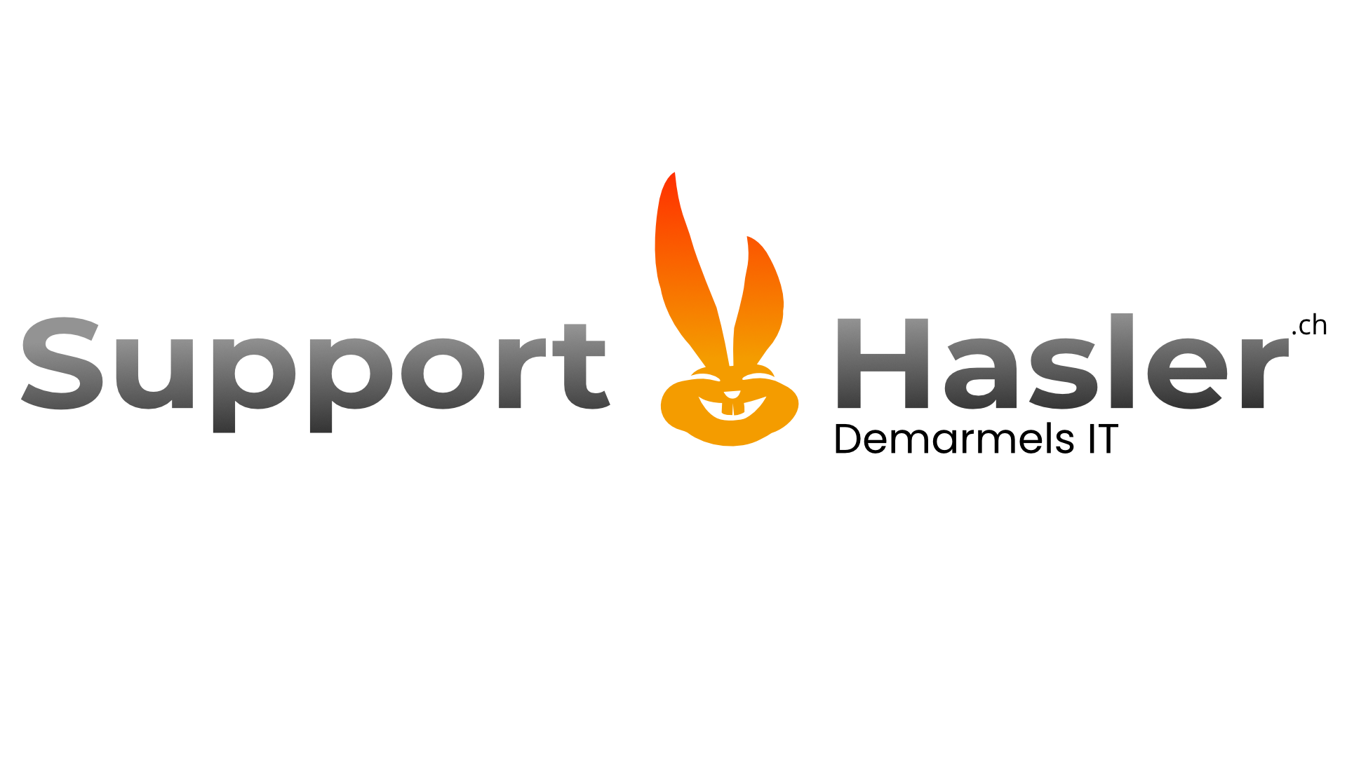 Support Hasler / Demarmels IT